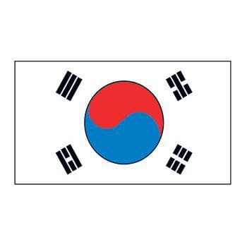 Korea Flag Temporary Tattoo