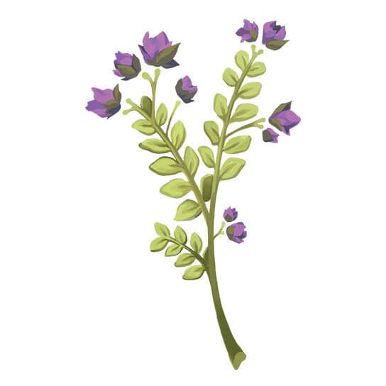 Purple Lavendar Floral Temporary Tattoo