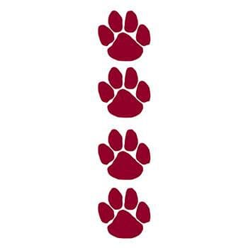 Maroon Paw Prints Temporary Tattoo Set