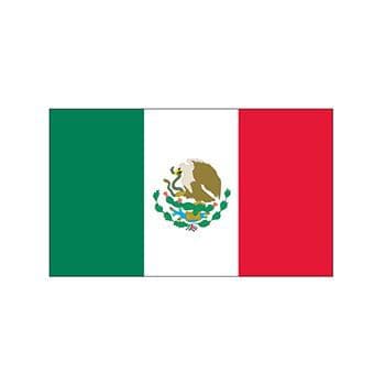 Mexico Flag Temporary Tattoo
