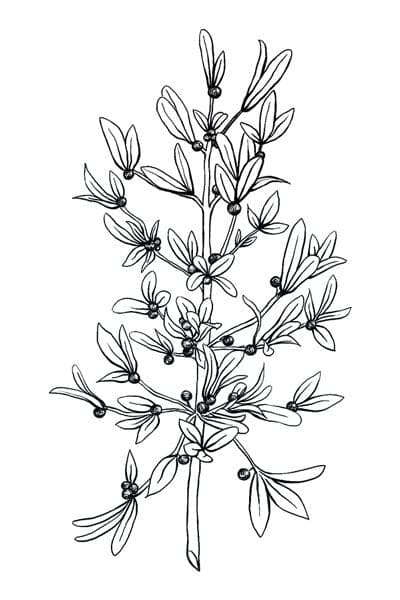 Black and White Mistletoe Temporary Tattoo