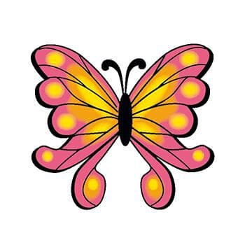 Orange and Pink Butterfly Temporary Tattoo