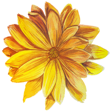 Orange Pastel Daisy Temporary Tattoo