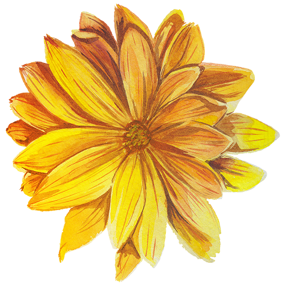 Orange Pastel Daisy Temporary Tattoo