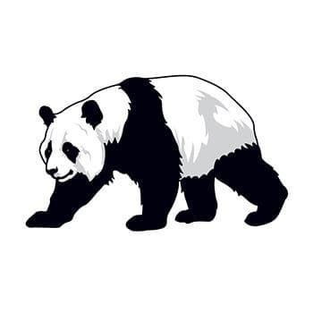 Panda Bear Temporary Tattoo