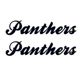 Panthers Text Temporary Tattoo