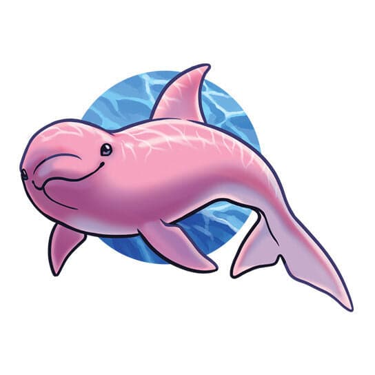 Pink Dolphin Temporary Tattoo