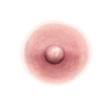 Pink Realistic Nipple Temporary Tattoos