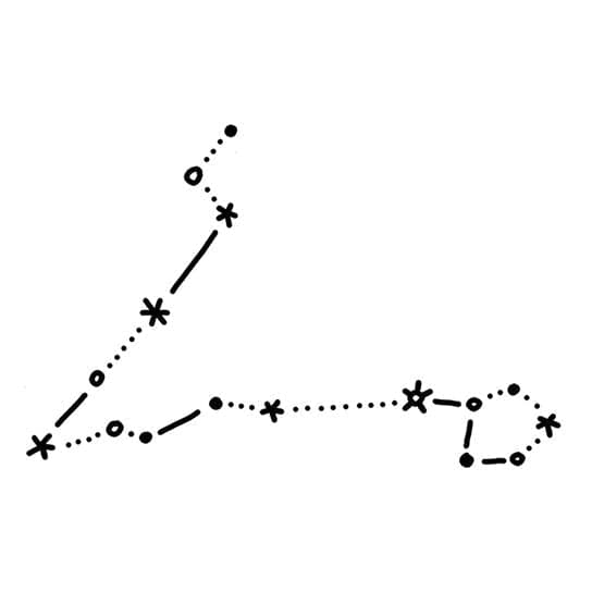 Pisces Constellation Temporary Tattoo