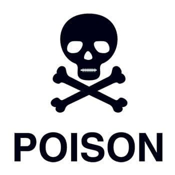 Poison Skull Temporary Tattoo