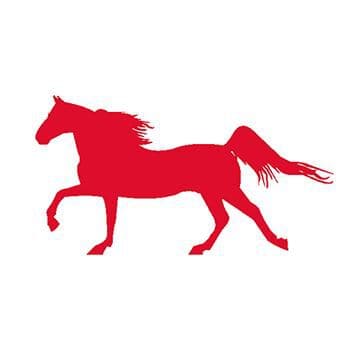 Red Horse Temporary Tattoo