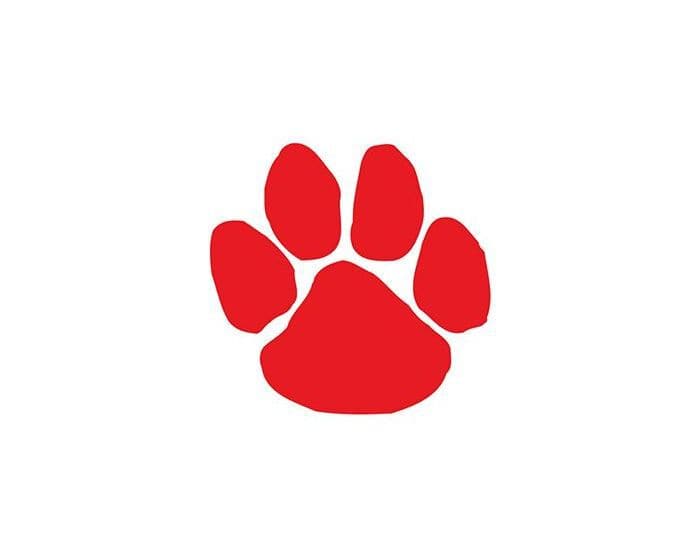 Red Paw Print Temporary Tattoo