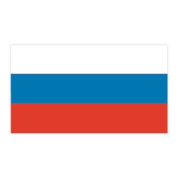 Russia Flag Temporary Tattoo