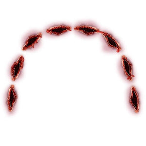 Shark Bite Temporary Tattoo