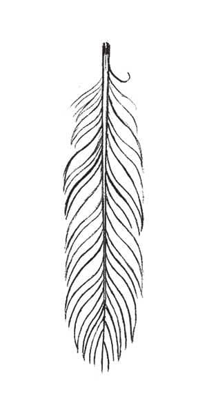 Sketch Feather Temporary Tattoo