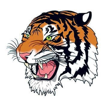 Snarling Bengal Tiger Face Temporary Tattoo