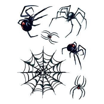 Spider and Web Temporary Tattoos