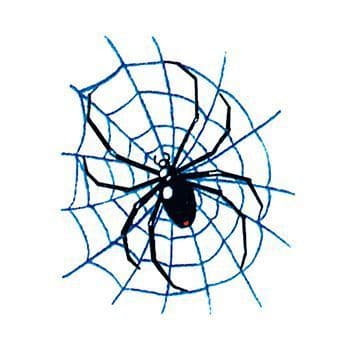 Spider on Web Temporary Tattoo