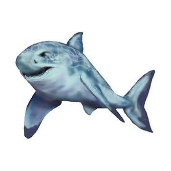 Swimming Shark Temporary Tattoo