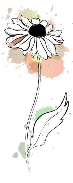 Tall Black-Eyed Susan Temporary Tattoo