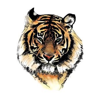 Tiger Face Temporary Tattoo