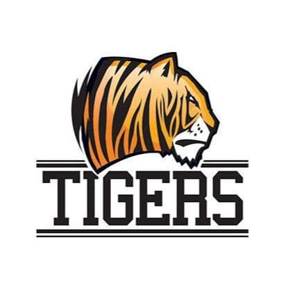 Tigers Team Temporary Tattoo