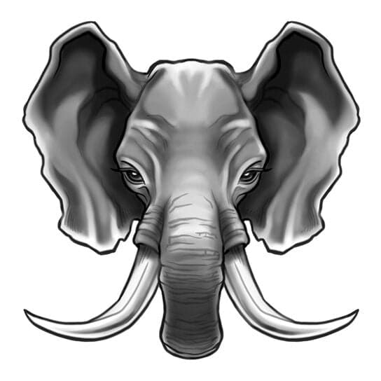 Tough Tusks Elephant Temporary Tattoo