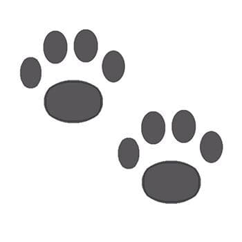 Two Paws Temporary Tattoo