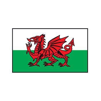 Wales Flag Temporary Tattoo
