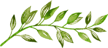 Watercolor Leaves Temporary Tattoo