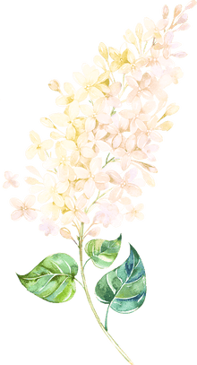 Watercolor Lilac Flower Temporary Tattoo